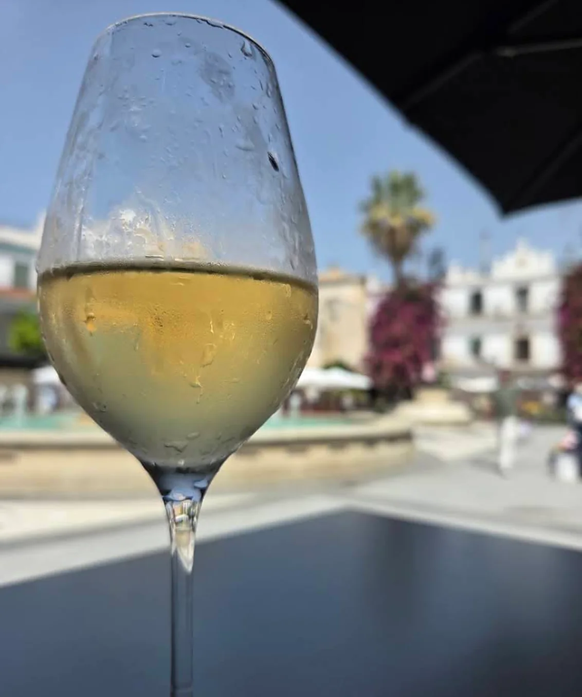 Copa de vino blanco en la terraza, con el Cabildo al fondo